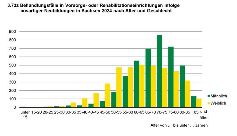 Säulendiagramm zeigt Behandlungsfälle in Vorsorge- oder Rehabilitationseinrichtungen infolge bösartiger Neubildungen in Sachsen 2024 nach Alter und Geschlecht